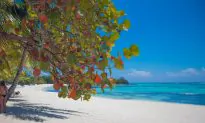 New York Mom Dies While Undergoing Liposuction in Dominican Republic