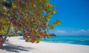 New York Mom Dies While Undergoing Liposuction in Dominican Republic