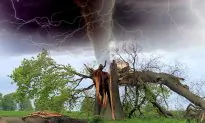 Brave Teacher Races a Tornado to Warn Parents Waiting for Their Children