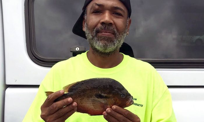 Maxton resident Alphonso Jackson, 43, broke a freshwater fish state record when he caught this redbreast sunfish in Wagram, N.C., on June 10, 2019. (North Carolina Wildlife Resources Commission)