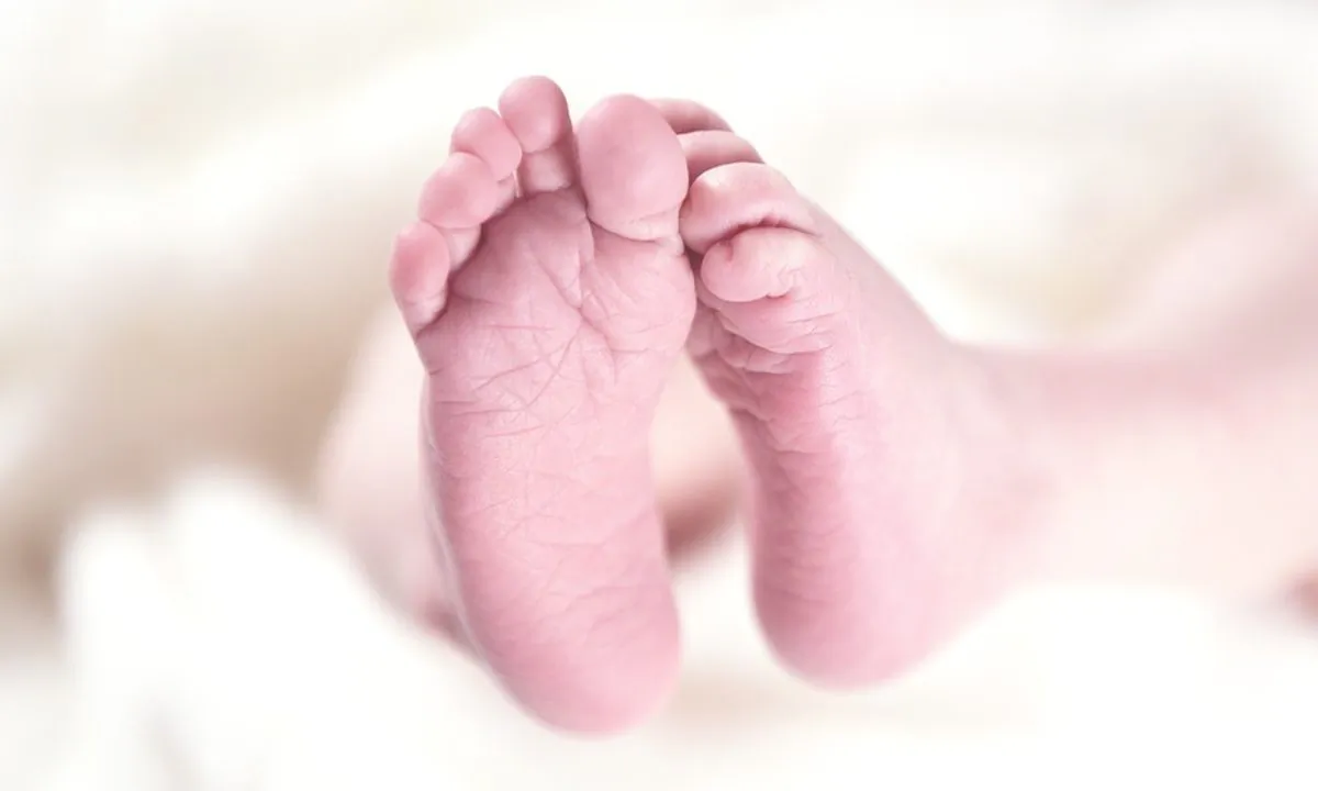 Stock image of a baby. (Rainer_Maiores/Pixabay)