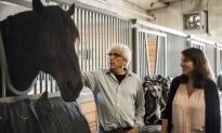 Horses Helping Veterans With PTSD