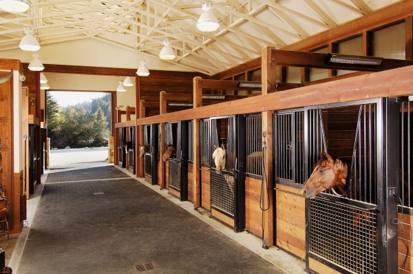 The stables