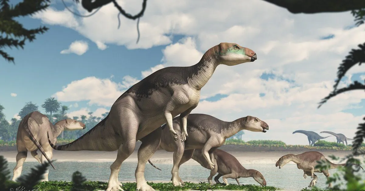An undated artist's impression of the Fostoria dhimbangunmal dinosaur whose remnants have been discovered in Lightning Ridge, Australia. (James Kuether/University of New England).