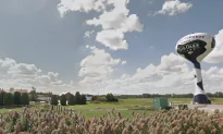 Fair Oaks Farms Speaks Out After Undercover Video Shows Alleged Animal Cruelty