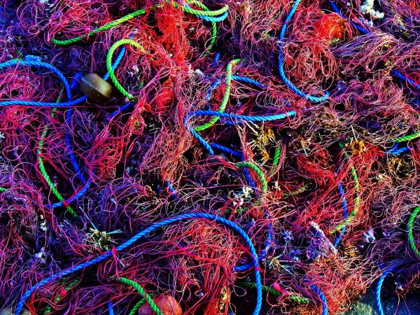 Fishing nets (Pixabay)