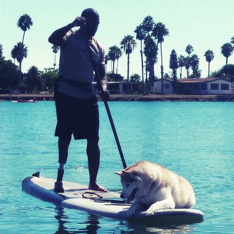Storey and Koja
