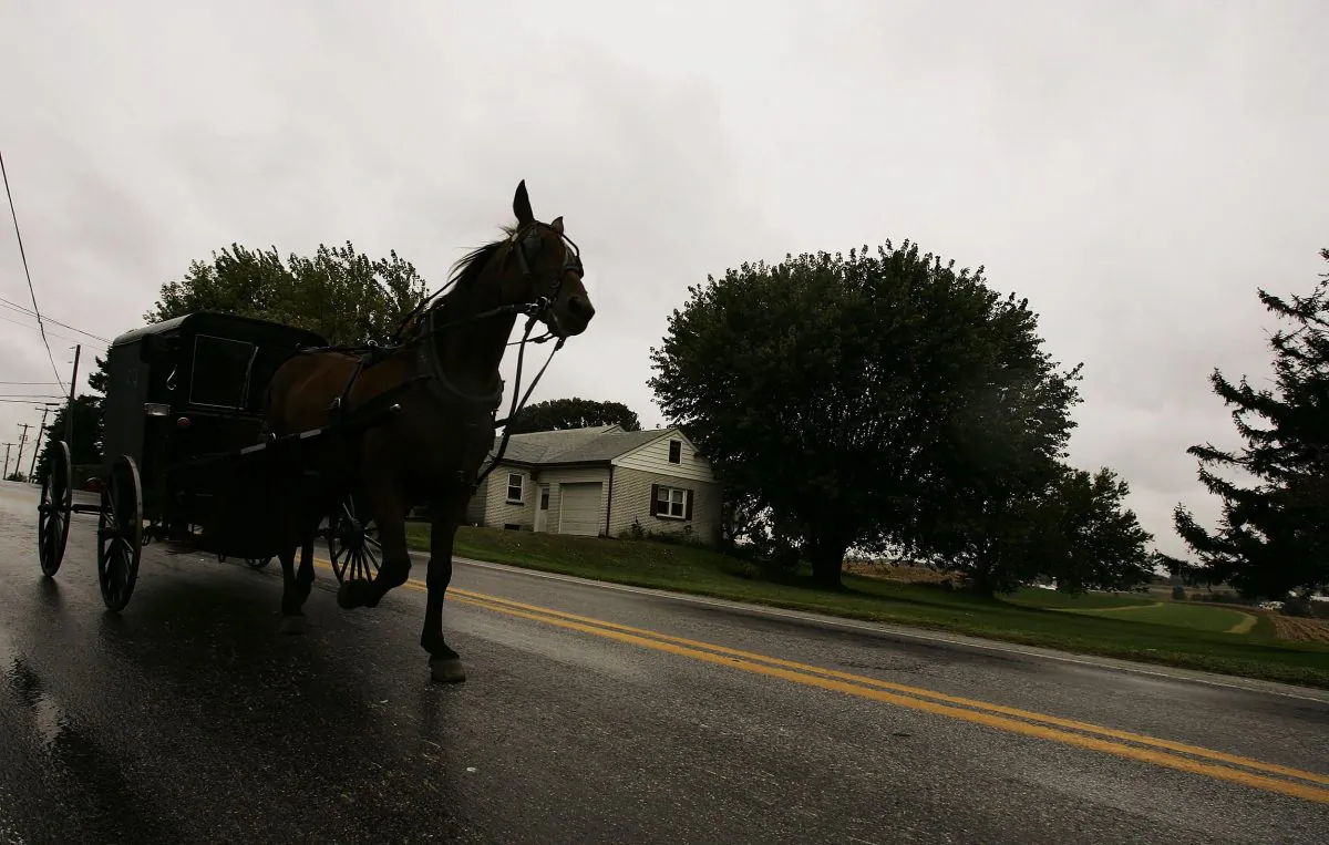 A horse draws an Amish carriage through Georgetown in Bart Township, Pennsylvania on October 6, 2006. (Photo by Chris Hondros/Getty Images)