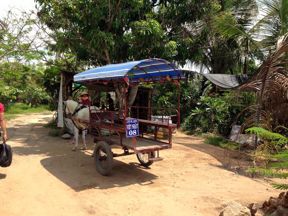 horse ride mekong delta