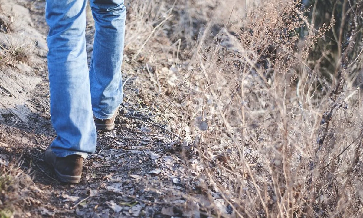 Stock image of a man hiking. (Free-Photos/Pixabay)