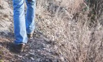 Man Falls 50 Feet to Death From Alaskan Trail While Helping Hikers Cross Deep Gorge