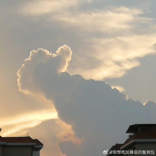 Like cloud thumb