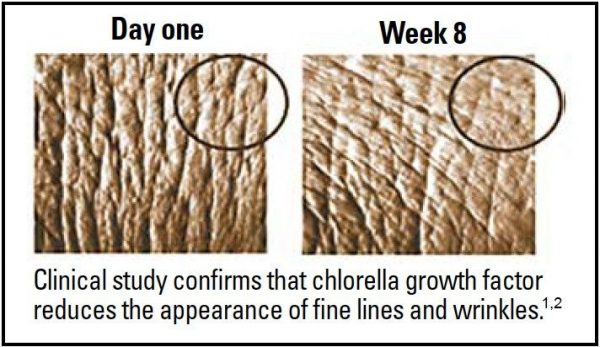 A clinical skin study