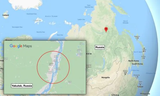 Mummified Ancient Giant Wolf Head Found in Siberia