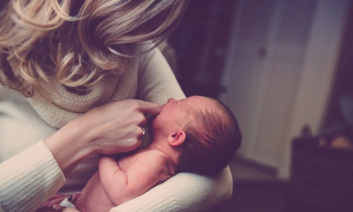 Stock image of a mother and a baby. (fancycrave1/Pixabay)