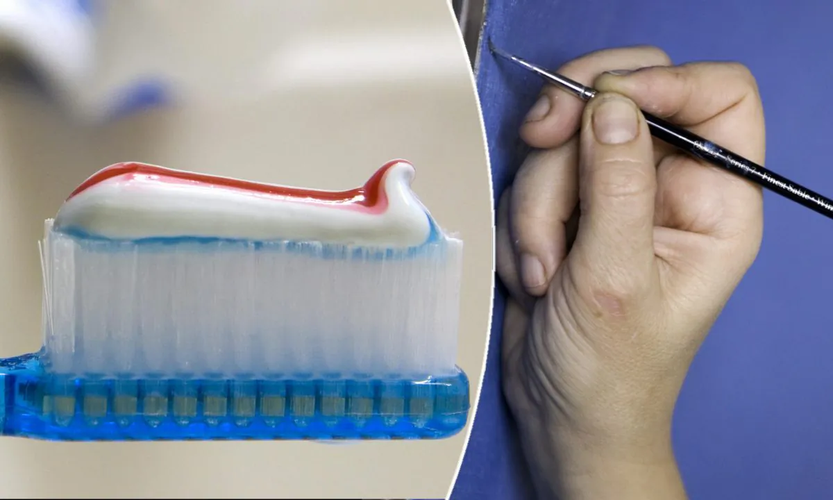 (L) A toothbrush. (Saul Loeb/AFP/Getty Images) | (R) A paintbrush. (Loic Venance/AFP/Getty Images)