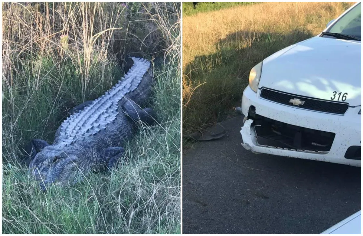 (Caddo Parish Sheriff's Office)