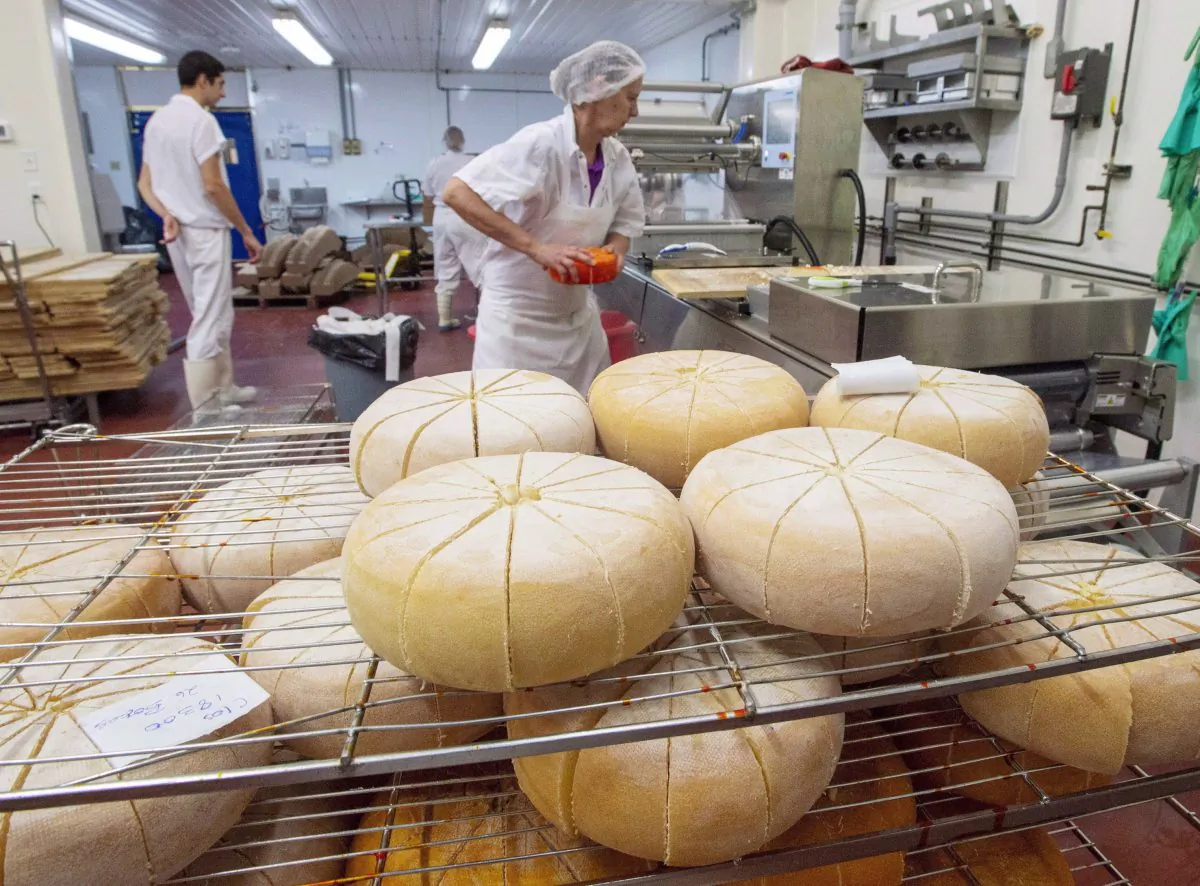 Workers package artisanal cheeses at the production facility of Fromagerie Fritz Kaiser in Noyan, Quebec, on Oct. 11, 2018. Dairy is one industry heavily protected from competition through supply management in Canada. (The Canadian Press/Ryan Remiorz)