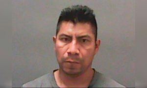 Former Fair Oaks Farms Worker Arrested After New Footage Appears to Show Animal Abuse