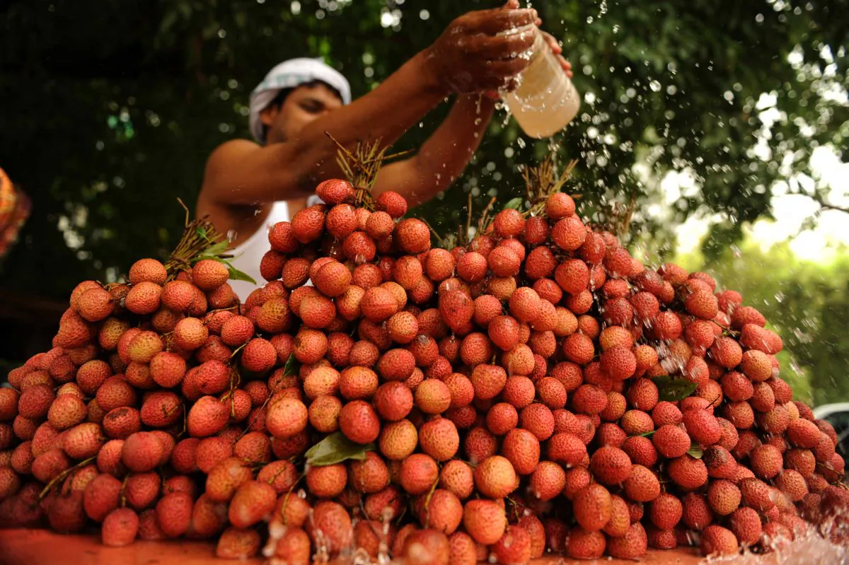 An Indian fruit seller pours water over lychees at a roadside cart in Allahabad on May 29, 2010. (Dpitendu DuttaAFP/Getty Images)