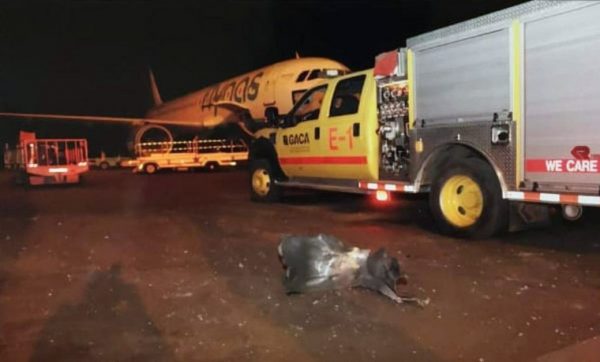 Saudi arabia airport attack