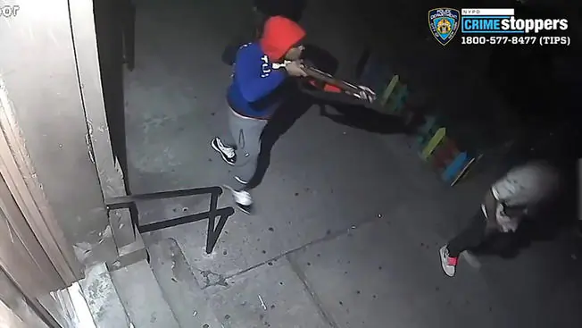 New York Man Killed by Stray Bullet While Walking His Dog