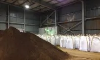 Australia’s Lynas in the Pink With Best Rare Earths Outside China