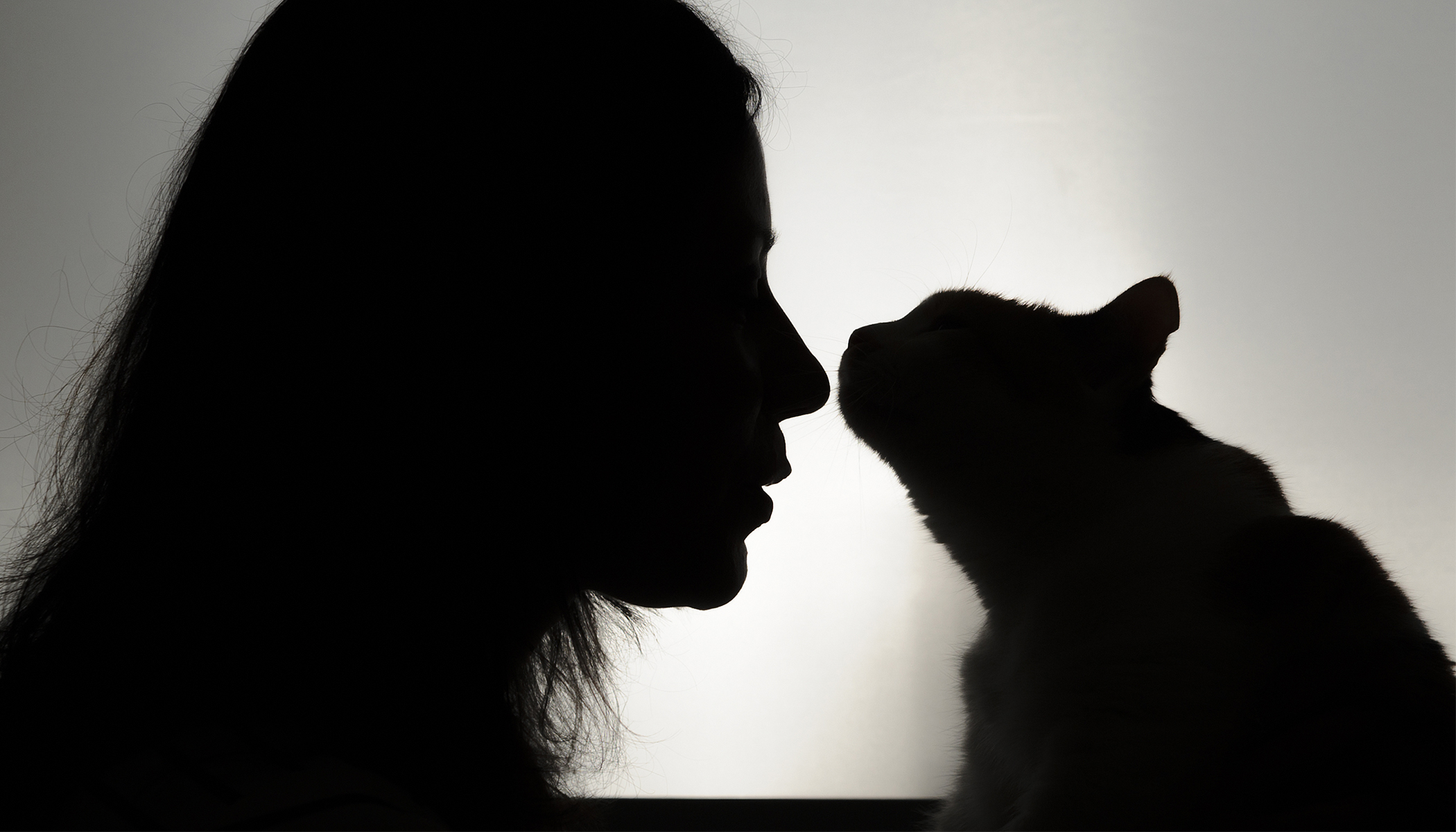Lady Falls In Love With ‘Handicapped’ Kitty That Grows Even Bigger Than