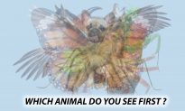 The First Animal You See in This Photo Will Reveal Hidden Aspects of Your Personality