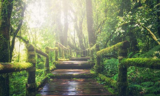 Ancient Chinese Stories: Great Achievements Begin With Small Steps