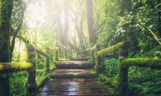 Ancient Chinese Stories: Great Achievements Begin With Small Steps
