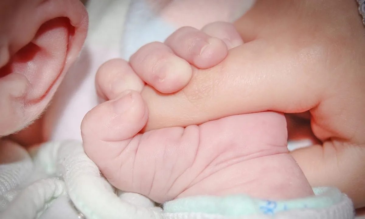 Stock image of a new born with the parent. (Jarmoluk /Pixabay)