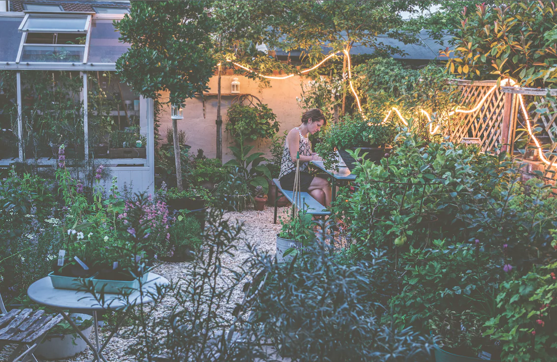 Planting a small tree—or as many as you dare—in a tiny plot is a surprisingly counterintuitive way to make a space feel bigger. (Courtesy of Kyle Books)