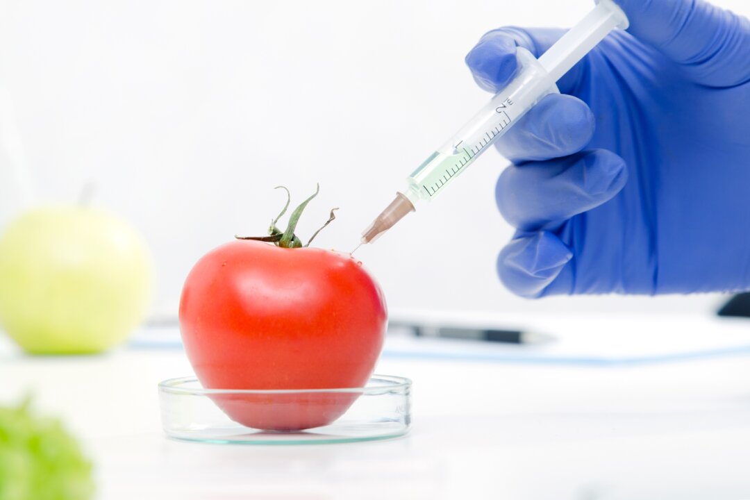 Genetically modified foods come with known—and unknown—risks. (Proxima Studio/Shutterstock)