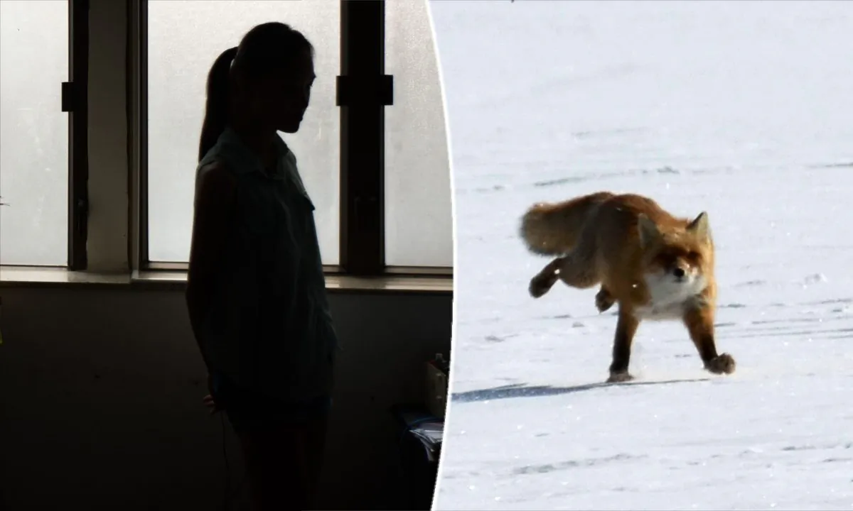(L) A female student in China. (Anthony Wallace/AFP/Getty Images) -- (R) A fox on the run. (Takashi Noguchi/AFP/Getty Images)