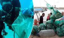 Team of 633 Scuba Divers Collect 3,200 lbs of Underwater Garbage–Setting New World Record