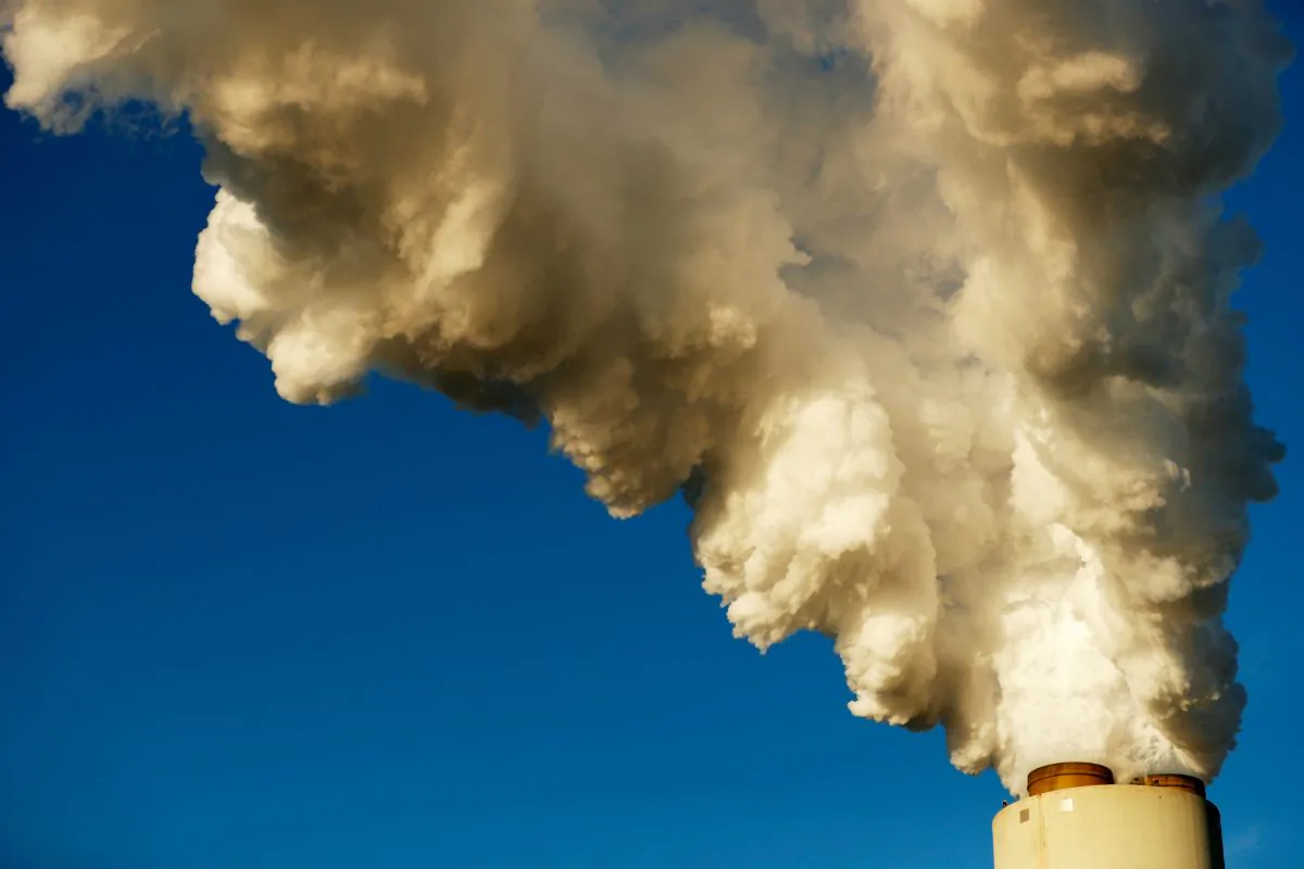 Steam rises from Duke Energy’s Marshall Power Plant in Sherrills Ford, North Carolina, on Nov. 29, 2018. (Chris Keane/REUTERS)