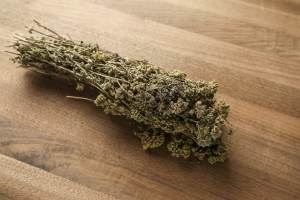 dried greek oregano