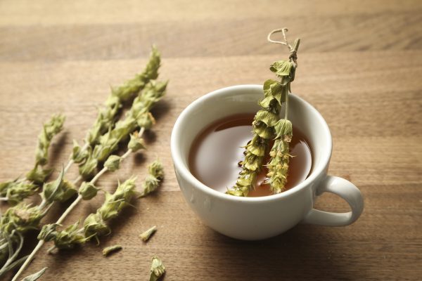 greek mountain tea in a cup