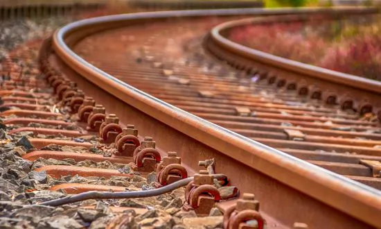 Train Driver Stops Feet Away from Dog Chained to Railroad Tracks