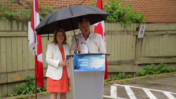 Fisheries Minister Jonathan Wilkinson announces Canada is banning imort and export of of unattached shark fins. (NTDTV)