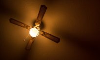 2-Year-Old Dies After Head Hit Ceiling Fan–Family Member Tossed Her Into the Air