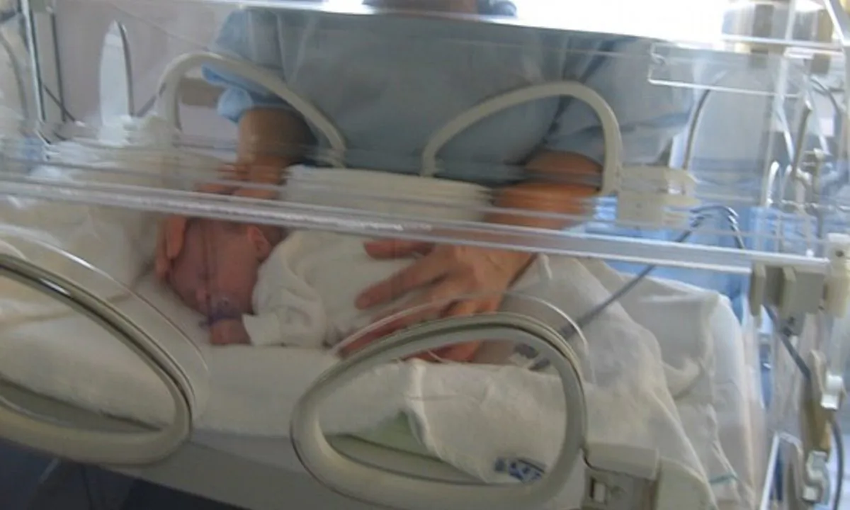 Stock image of a premature baby. (Public Domain Pictures/Pixabay)