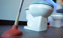 Abandoned Fetus Blocked the Toilet in a South African Domestic Airplane