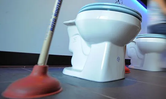 Abandoned Fetus Blocked the Toilet in a South African Domestic Airplane
