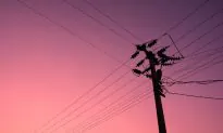 Man Gets Electrocuted While Stealing Electricity, Skull Found Outside a Residence