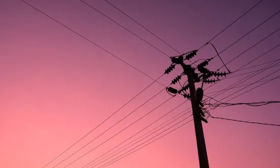 Man Gets Electrocuted While Stealing Electricity, Skull Found Outside a Residence