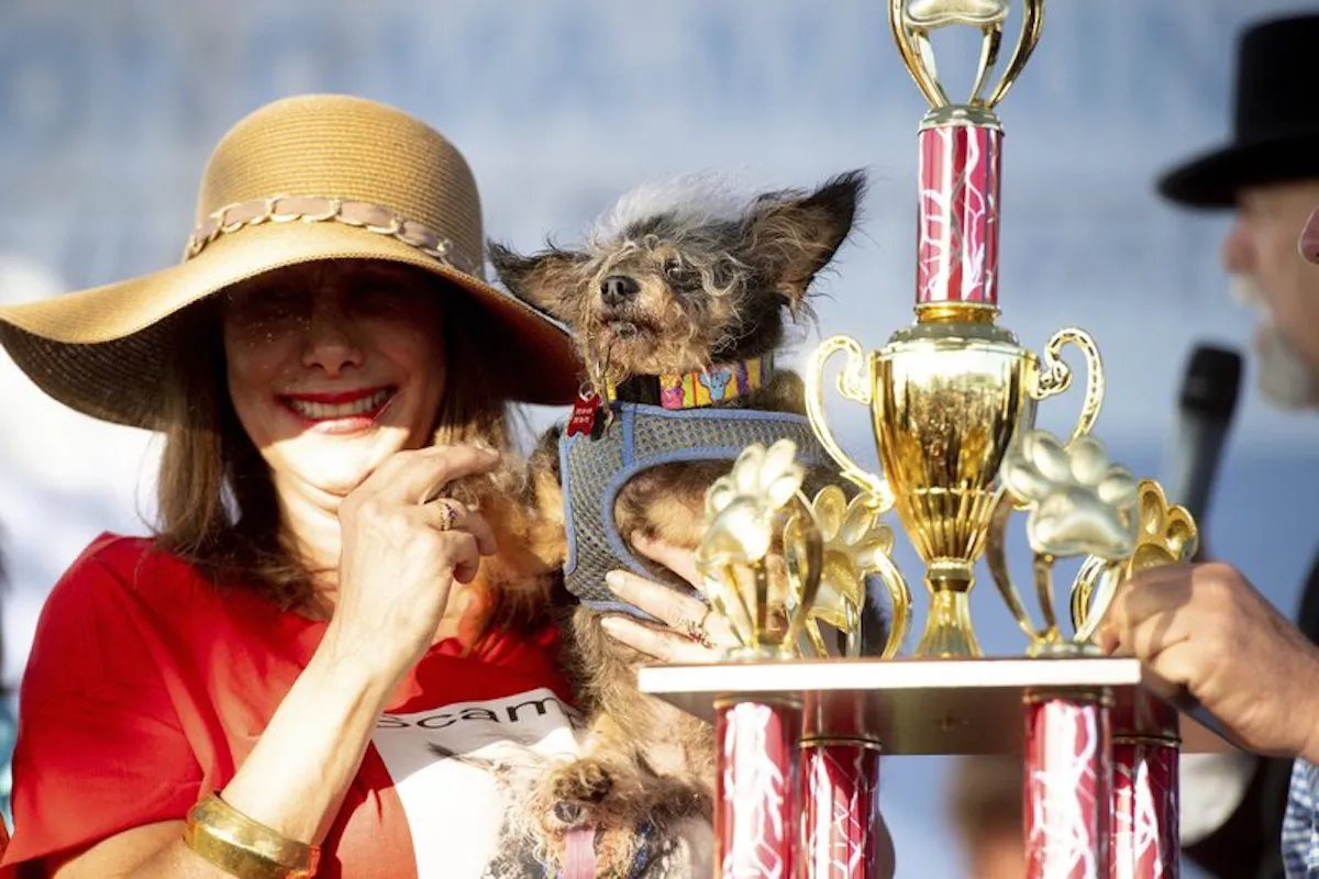 Scamp the Tramp is held by Darlene Wright after winning the World's Ugliest Dog Contest at the Sonoma-Marin Fair in Petaluma, Calif., on June 21, 2019. (Noah Berger/AP Photo)
