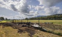 9 Men, 2 Women Killed in Hawaii Plane Crash, Feds to Probe Plane Repairs