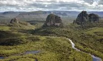 The UN’s Great Extinction Scare